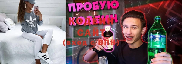 шишки Михайловск